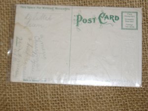 Santa Postcard, Purple Hat Green Robe, Brown Sleeves