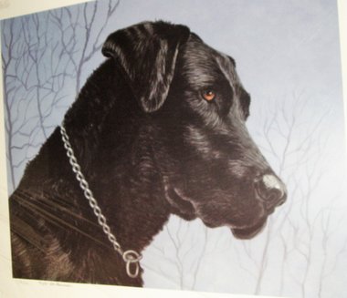 Signed Numbered Print, Tried and True, Black Labrador Retriever, Debbie Miller Stonebraker, Free USA Shipping