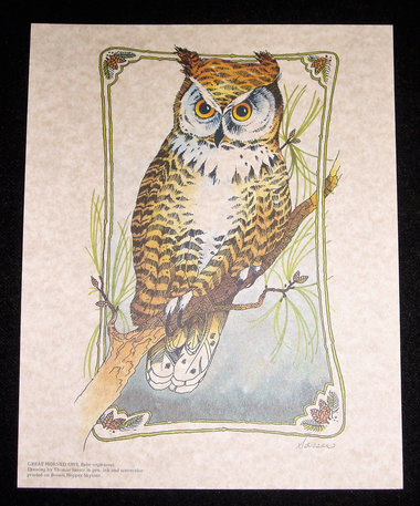 Thomas Sasser Bird Print, Great Horned Owl, 8 x 10