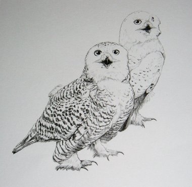 Thorpe, Snowy Owl Publishers Print, "I Thought the Body Shop Was for Cars!?"