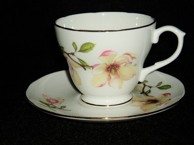 Cup & Saucer, Royal Winchester, Magnolia, England Bone China, Free USA Shipping