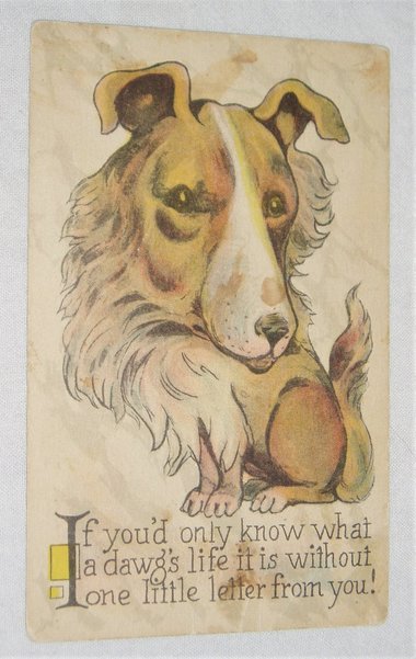 Humorous Postcard, A Dawg's Life..., 2nd Card Ships Free