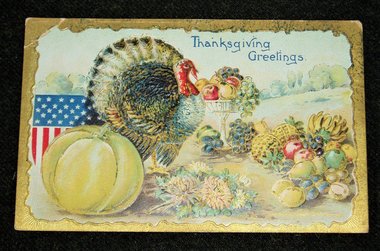 Postcard Thanksgiving Turkey Patriotic Shield, Add. Cards Ship Free