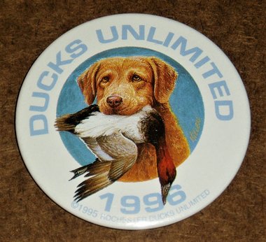 Ducks Unlimited Pinback, 1996, Golden Retriever, DU