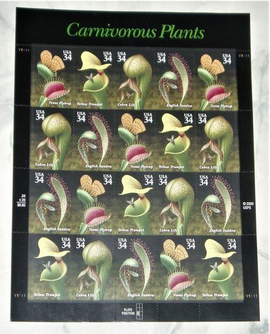 Mint 34c Stamp Sheet, Carnivorous Plants, Scott Catalog #35-28, 20 Stamps