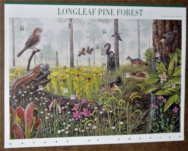 Mint 34c Stamp Sheet, Longleaf Pine Forest, Scott Catalog #3611, 10 Stamps