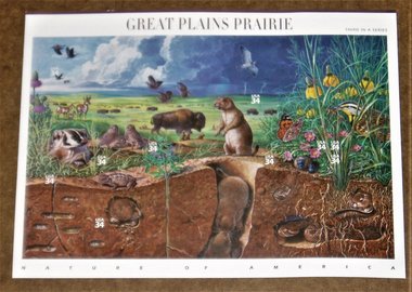 Mint 34c Stamp Sheet, Great Plains Prairie, Scott Catalog #3506, 10 Stamps
