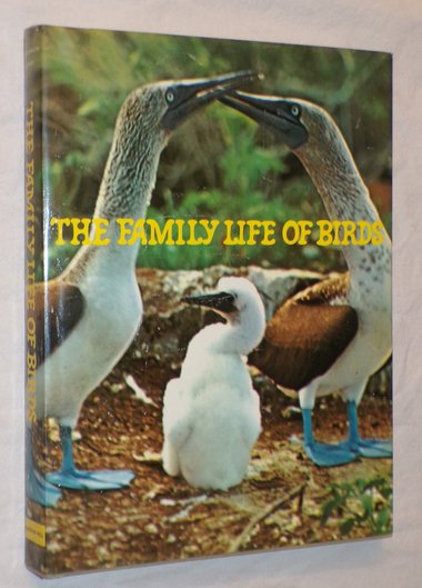 Family Life of Birds, Vintage Book, First Edition