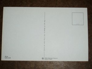 Humorous Fishing Postcard, "In a Minute...I Only Have Two Hands"