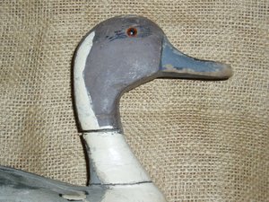 Vintage Duck Decoy, Louisiana Carver, Unusual 3-piece, Pintail, Free USA Shipping