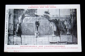 Rare Early Circus Advertising Postcards, Cordona and His Lions, 6 Different 1907-08, Advertising