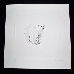Thorpe, Polar Bear Publishers Print, "Chilly, Yes;  Frigid, No!!"