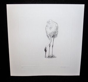 Thorpe, Sandhill Crane Publishers Print, "Damned Contacts!!"