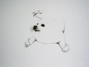 Thorpe, Harp Seal Publishers Print, "Apocalypse Now??"