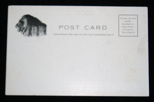 Rare Early Circus Advertising Postcards, Cordona and His Lions, 6 Different 1907-08, Advertising