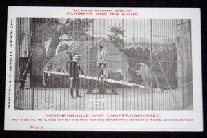 Rare Early Circus Advertising Postcards, Cordona and His Lions, 6 Different 1907-08, Advertising
