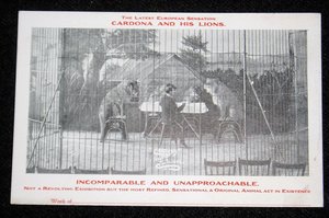 Rare Early Circus Advertising Postcards, Cordona and His Lions, 6 Different 1907-08, Advertising