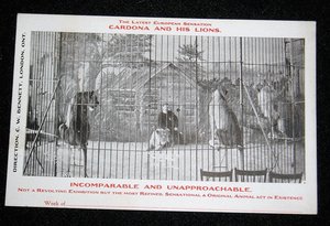Rare Early Circus Advertising Postcards, Cordona and His Lions, 6 Different 1907-08, Advertising