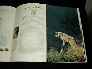 USPS Book, Wildlife America, with Mint Sheet of 50 Stamps, Scott #2286a