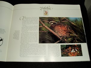USPS Book, Wildlife America, with Mint Sheet of 50 Stamps, Scott #2286a