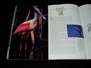 USPS Book, Wildlife America, with Mint Sheet of 50 Stamps, Scott #2286a