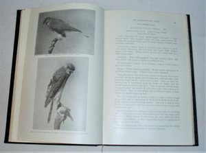 First Edition,1918,The Raptorial Birds of Iowa, Iowa Geological Survey, Bert Heald Bailey