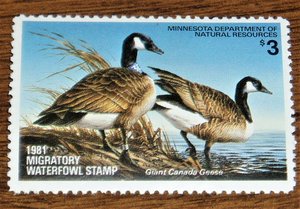 Duck Hunting Stamp, Minnesota MN5, Canada Geese, 1981, Additional Stamps Ship Free