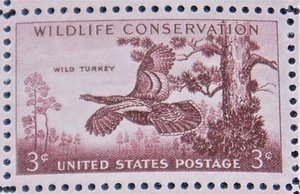 Mint 3c Stamp Sheet, Wildlife Conservation Wild Turkey, Scott Catalog #1077 x 50 Stamps