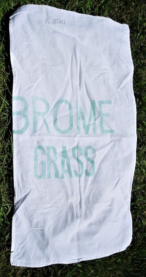 Seed Sack Towel, Brome Grass