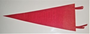 Vintage Pennant, Roosevelt Military Academy, Aledo Illinois