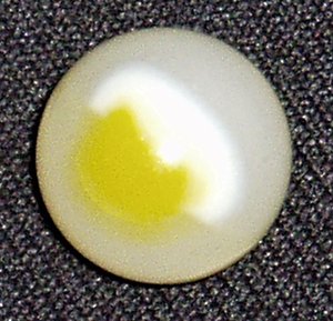 Vintage Peltier Marble, Yellow Tracer .604" Mint