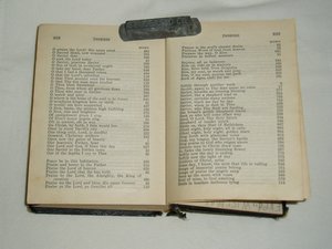 American Lutheran Hymnal, 1931