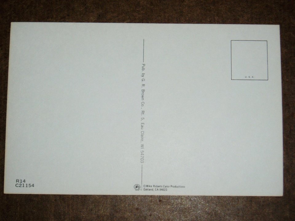 Humorous Fishing Postcard, "In a Minute...I Only Have Two Hands"