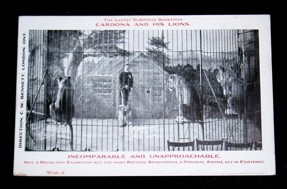 Rare Early Circus Advertising Postcards, Cordona and His Lions, 6 Different 1907-08, Advertising