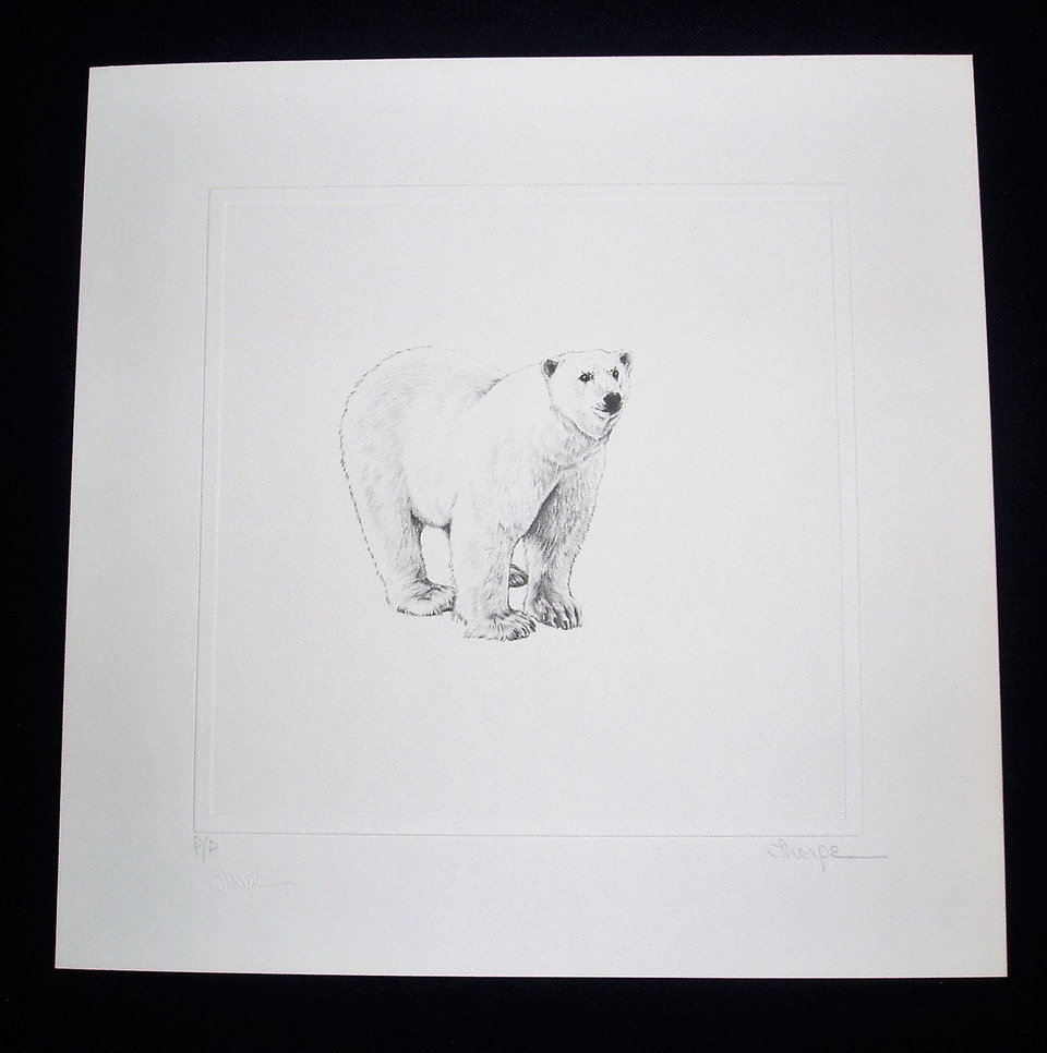 Thorpe, Polar Bear Publishers Print, "Chilly, Yes;  Frigid, No!!"