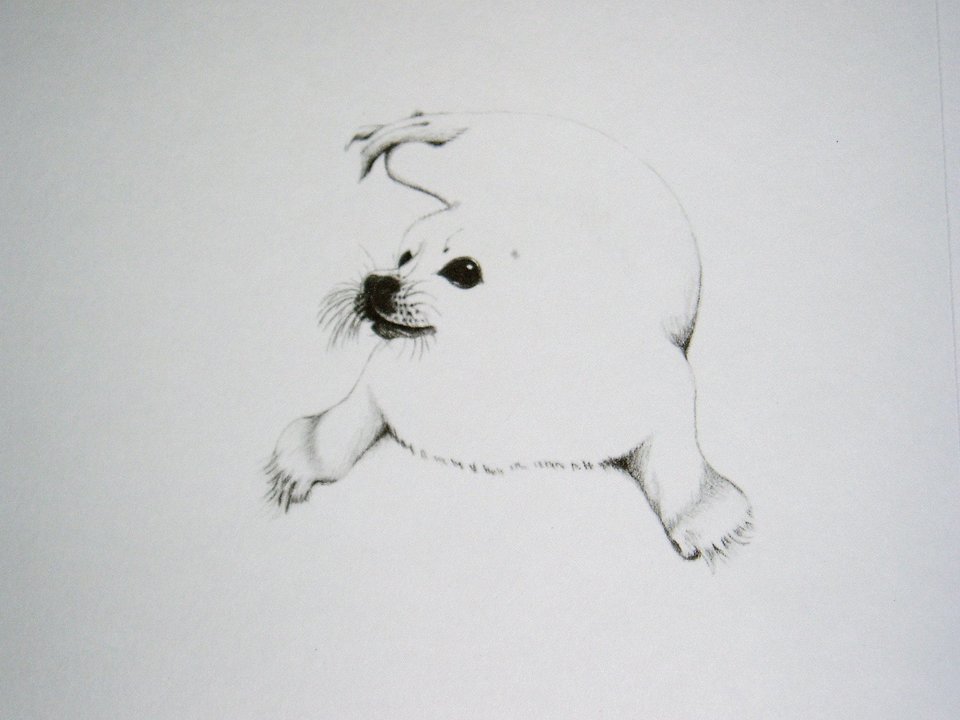 Thorpe, Harp Seal Publishers Print, "Apocalypse Now??"