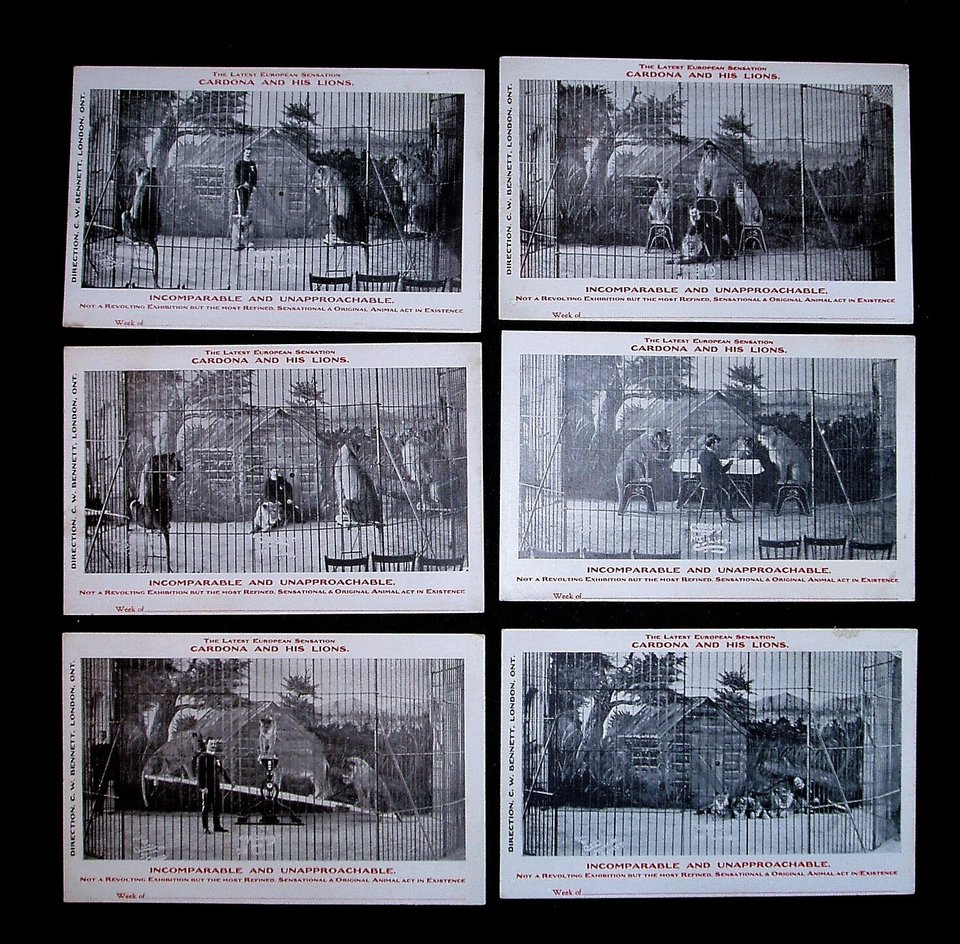 Rare Early Circus Advertising Postcards, Cordona and His Lions, 6 Different 1907-08, Advertising