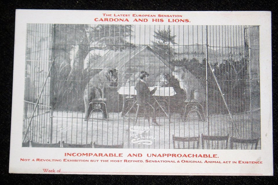 Rare Early Circus Advertising Postcards, Cordona and His Lions, 6 Different 1907-08, Advertising