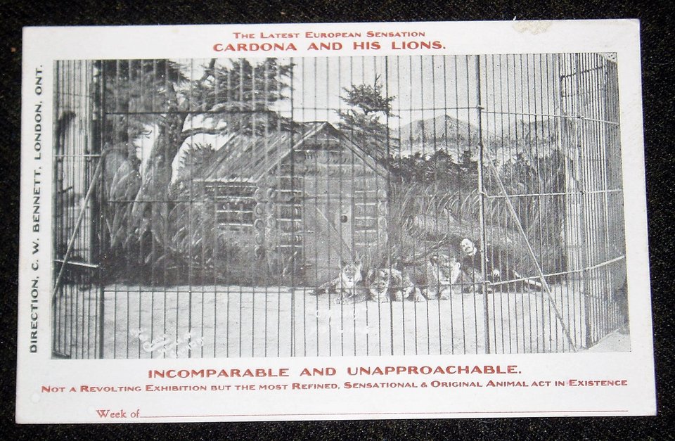 Rare Early Circus Advertising Postcards, Cordona and His Lions, 6 Different 1907-08, Advertising