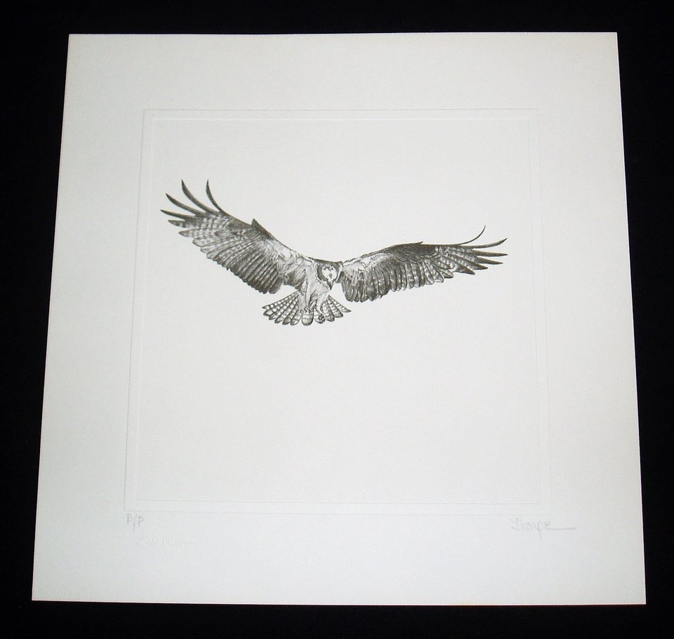 Thorpe, Hawk Publishers Print, "Your Friendly IRS Agent"