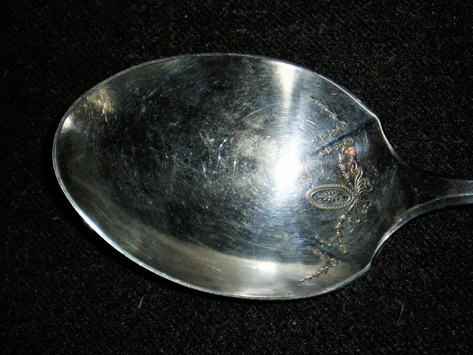 Community Silverplate, "Adam" Casserole Spoon, Free USA Shipping