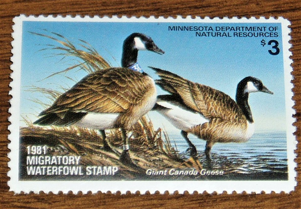 Duck Hunting Stamp, Minnesota MN5, Canada Geese, 1981, Additional Stamps Ship Free