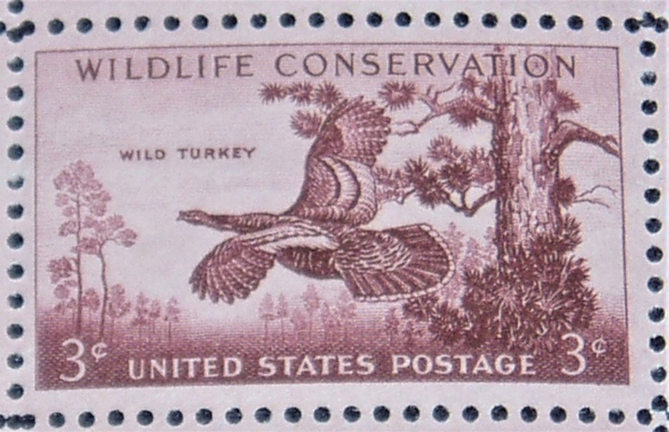 Mint 3c Stamp Sheet, Wildlife Conservation Wild Turkey, Scott Catalog #1077 x 50 Stamps