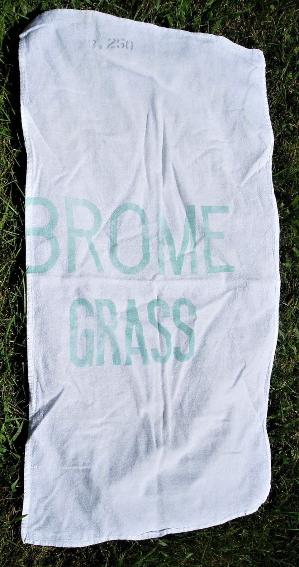 Seed Sack Towel, Brome Grass