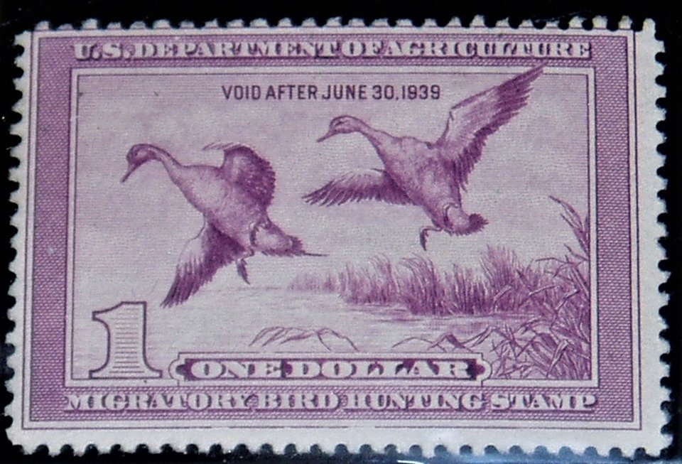 Federal Duck Stamp RW5, Never Hinged