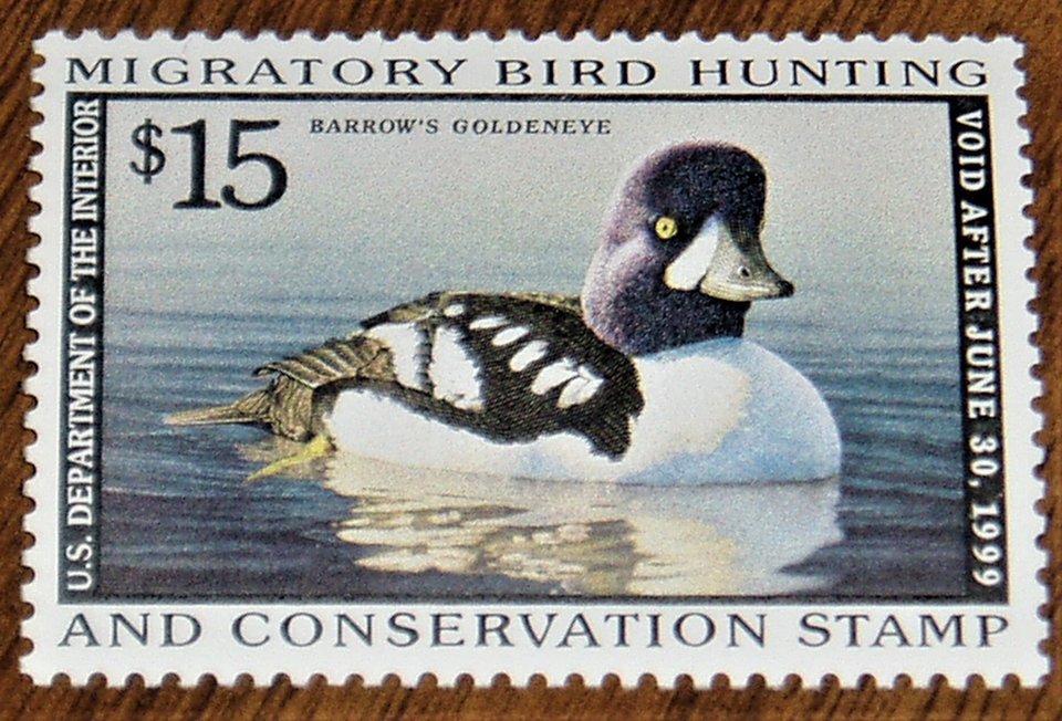 Federal Duck Stamp RW65, Very Fine, Never Hinged