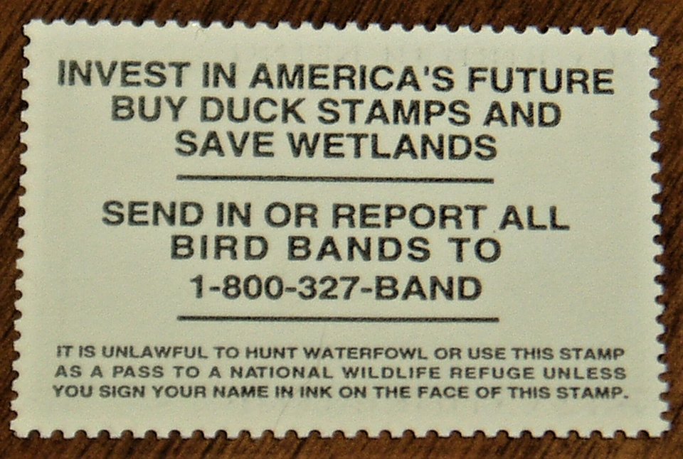 Federal Duck Stamp RW65, Very Fine, Never Hinged