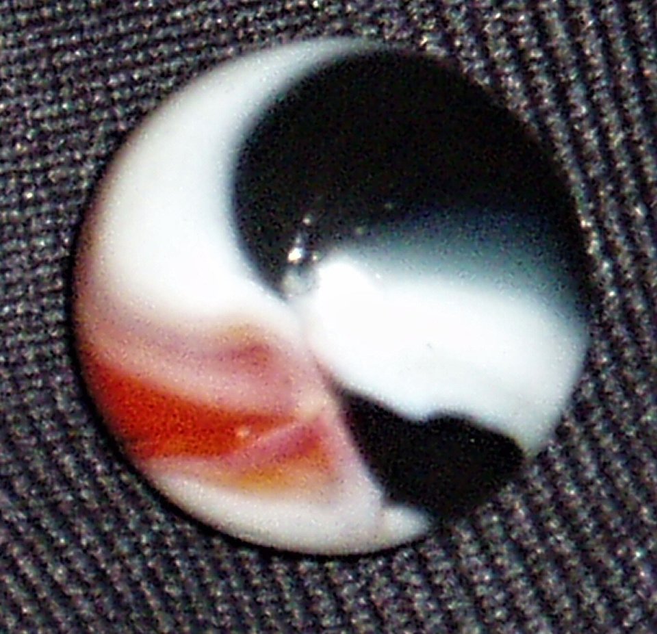 Peltier Rebel Marble, .745", Vintage Toy