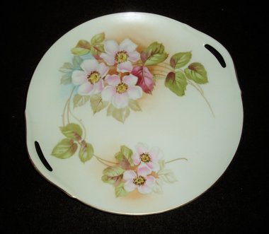 Germany Hand Painted Plate, Wild Roses, ReginaWare