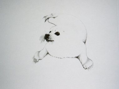 Thorpe, Harp Seal Publishers Print, "Apocalypse Now??"